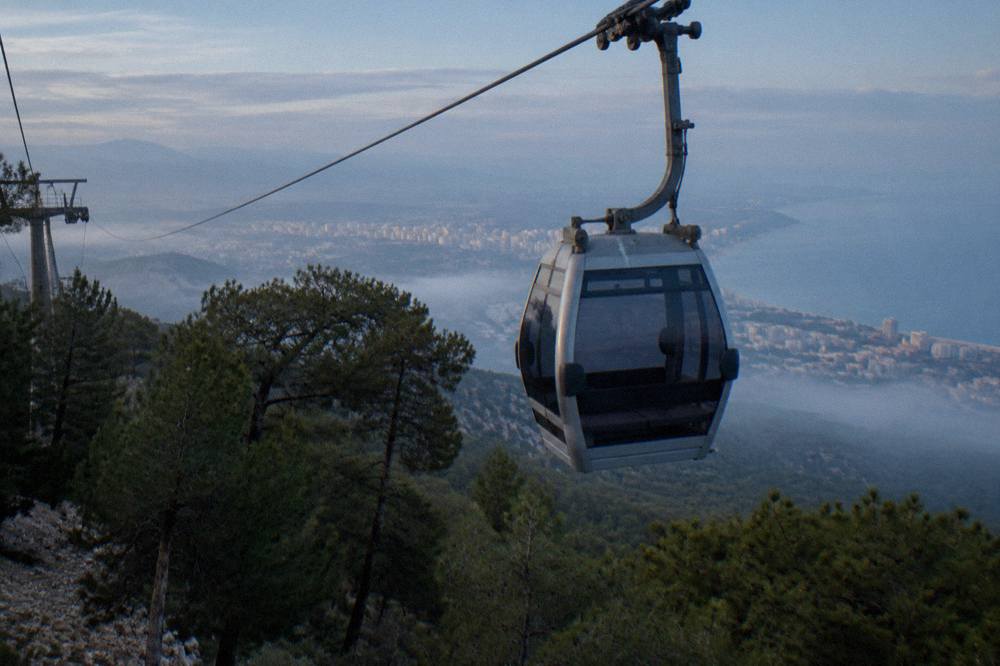 A stationary cable car cabin suspended above pine trees on a hillside