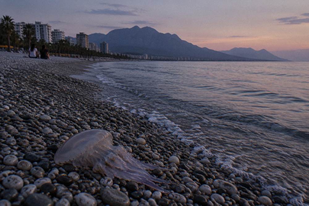 A quiet Antalya shoreline with pebbles at the edge of clear water