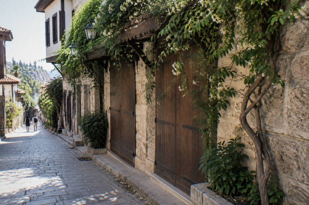 A stone lane in the old town with shuttered shopfronts and hanging vines