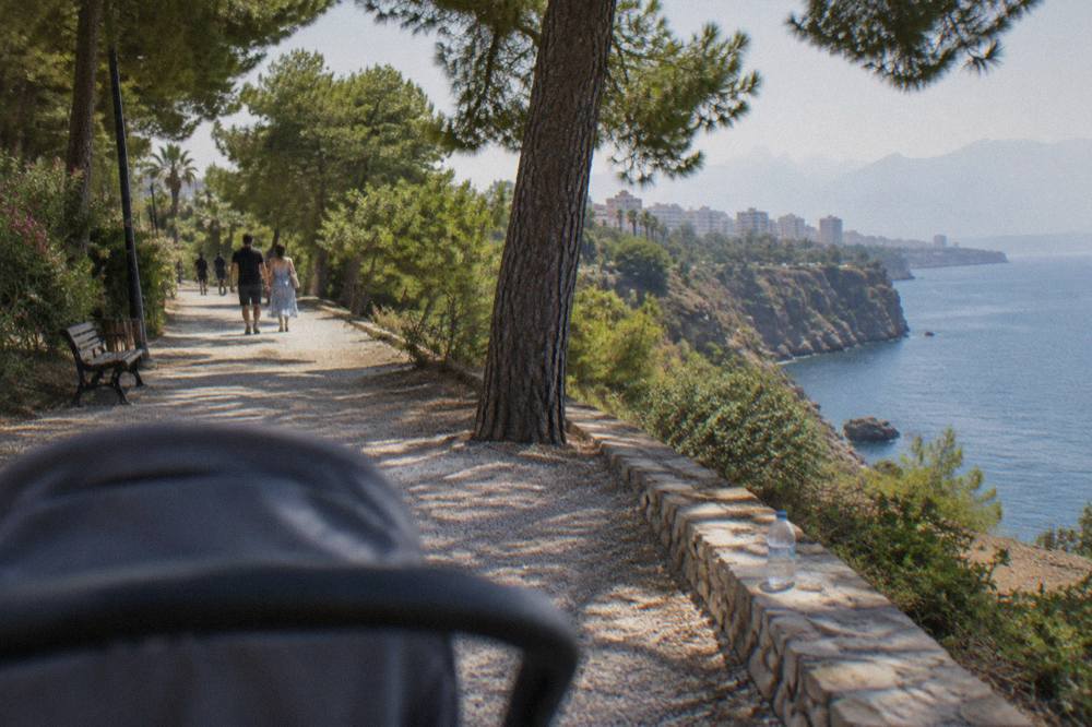 A stone path through a public park with pine trees above the sea