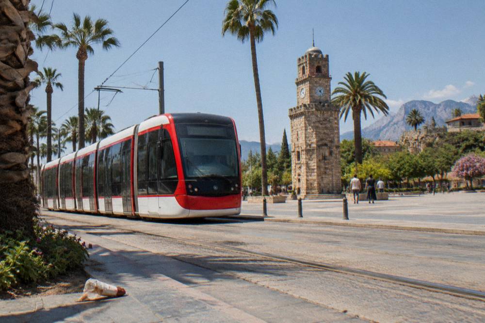 A modern tram on a city street lined with palm trees