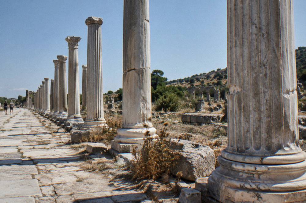 Rows of ancient stone columns standing in an open archaeological site