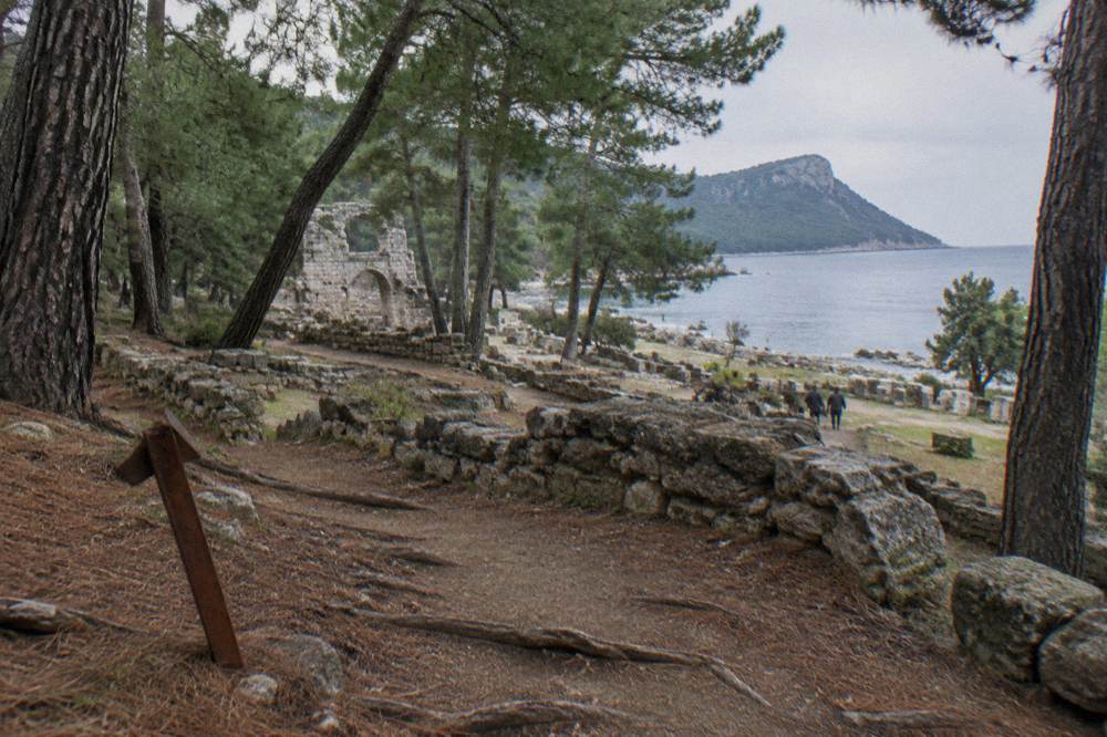 Pine covered ground with ancient stone walls at Phaselis